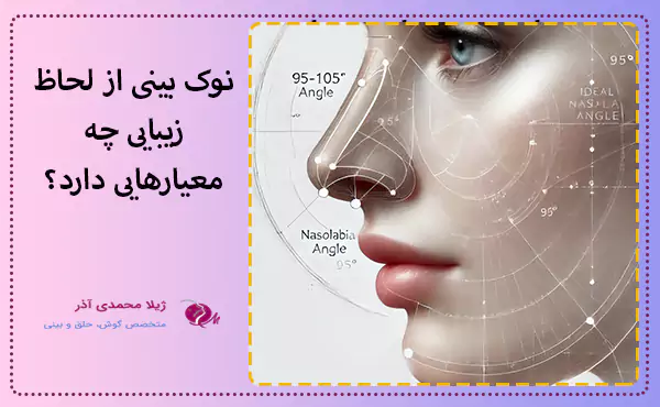 نوک بینی از لحاظ زیبایی چه معیارهایی دارد؟